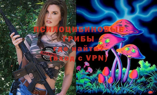 бошки Аркадак